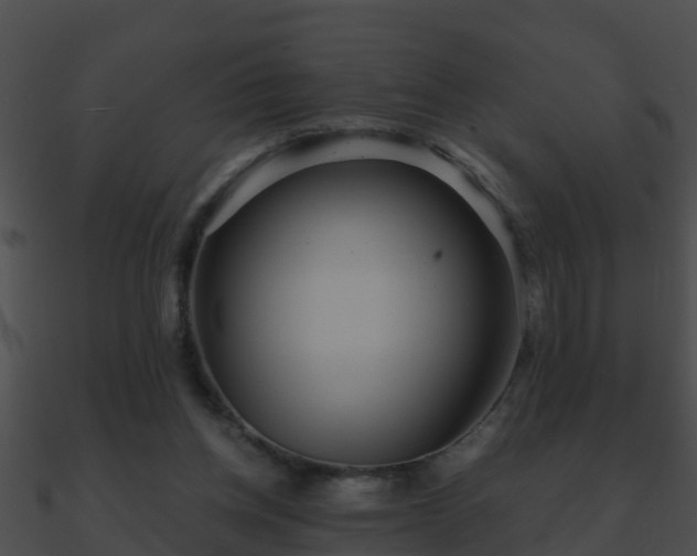 X0000090860158200708030955