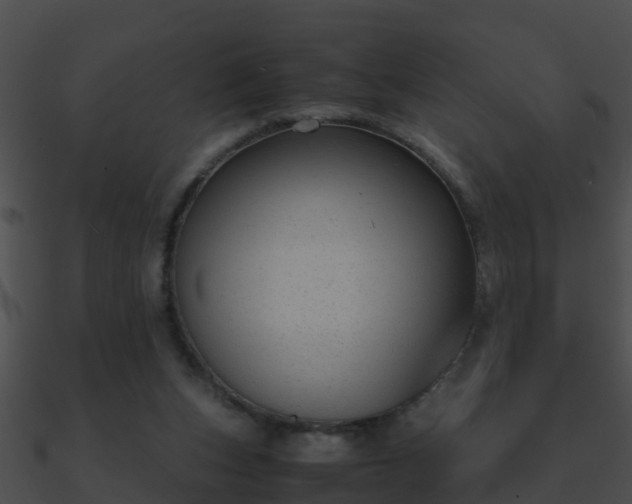 X0000090860159200708030955