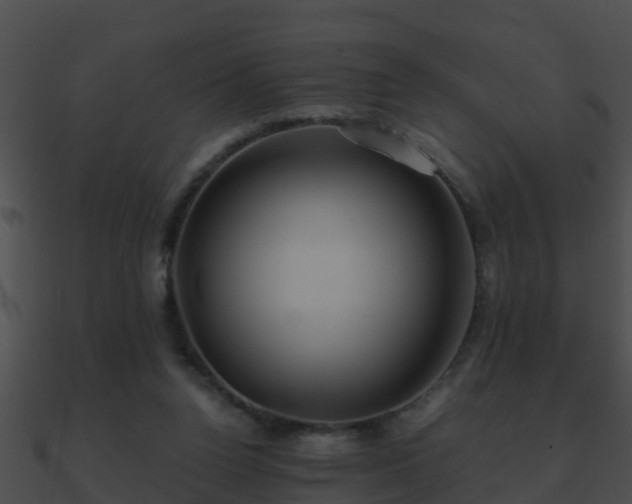 X0000090860160200708030955