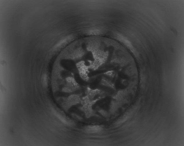 X0000090860161200708030955