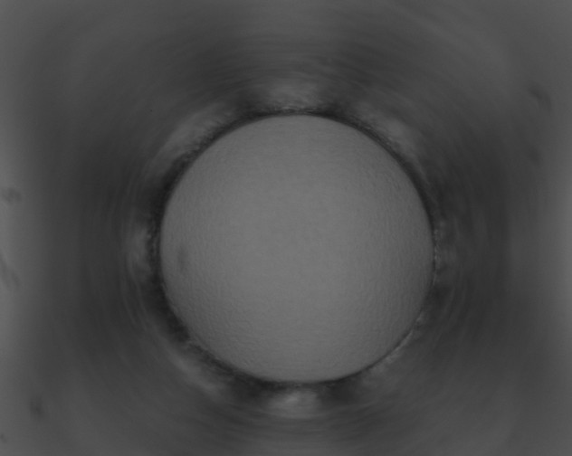 X0000090860162200708030955