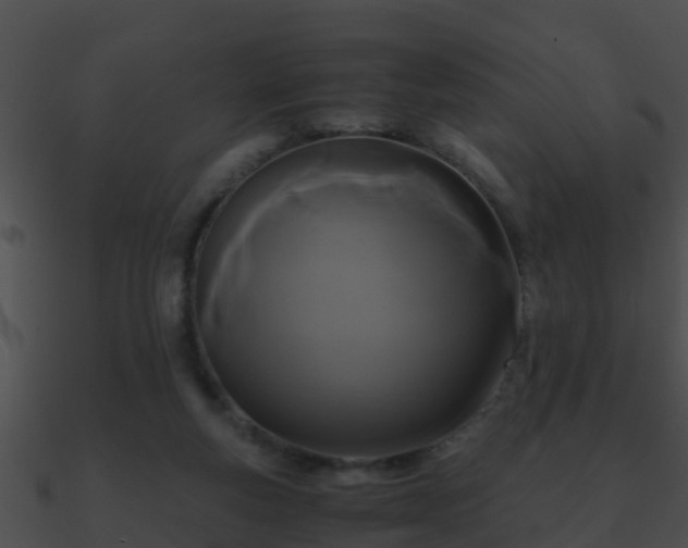 X0000090860163200708030955