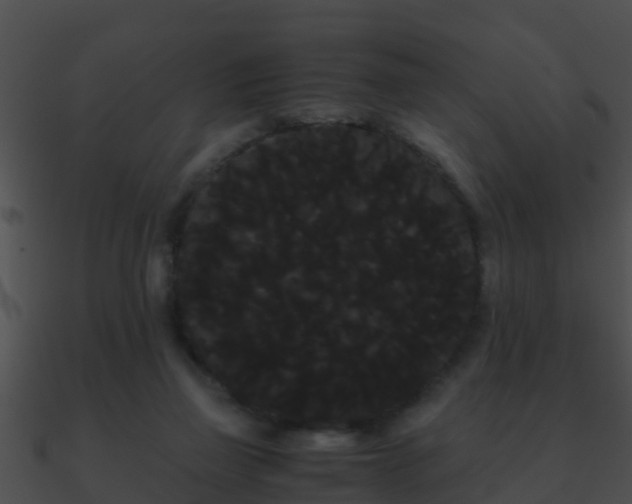 X0000090860165200708030955