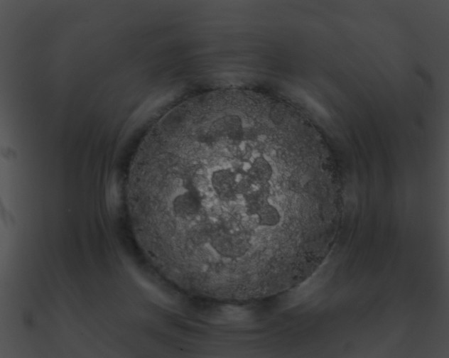 X0000090860166200708030955