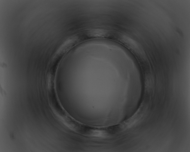 X0000090860167200708030955