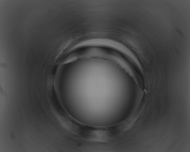 X0000090860168200708030955