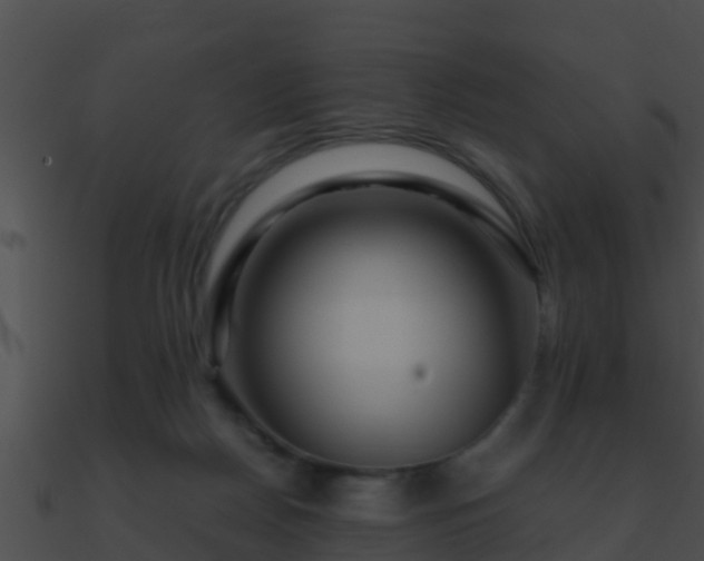 X0000090860170200708030955