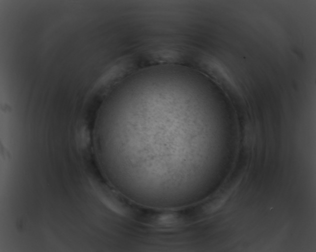 X0000090860173200708030955
