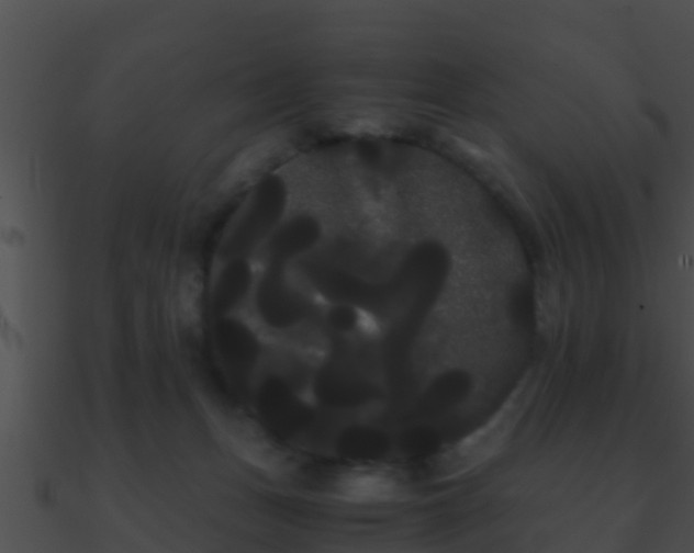 X0000090860175200708030955