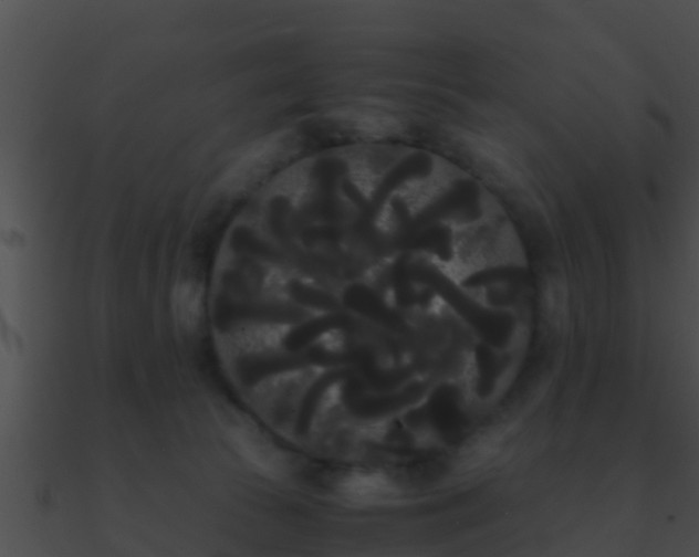 X0000090860177200708030955