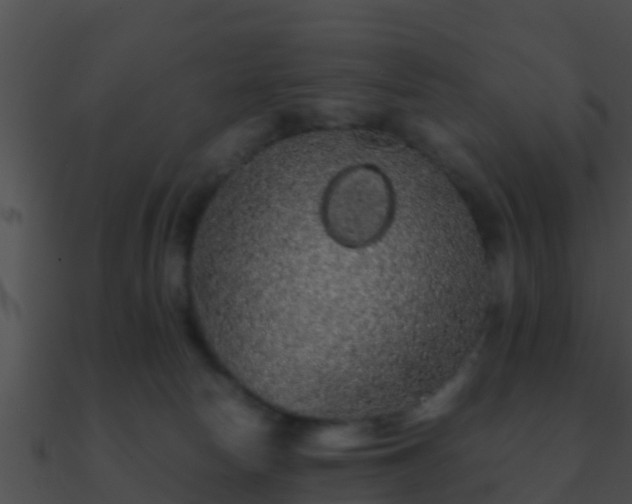 X0000090860178200708030956