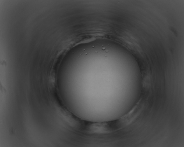 X0000090860179200708030956