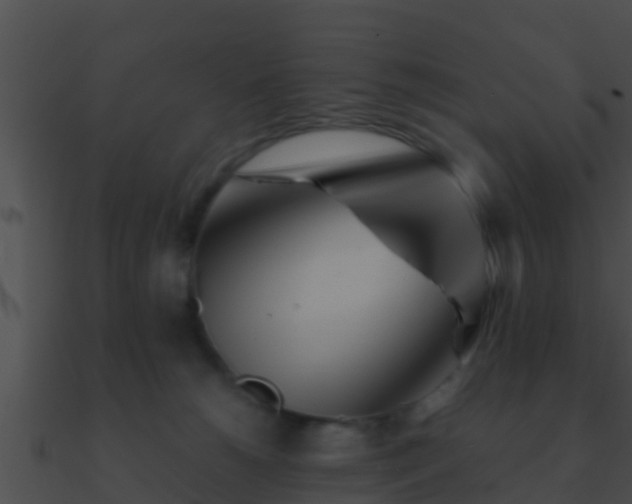 X0000090860180200708030956