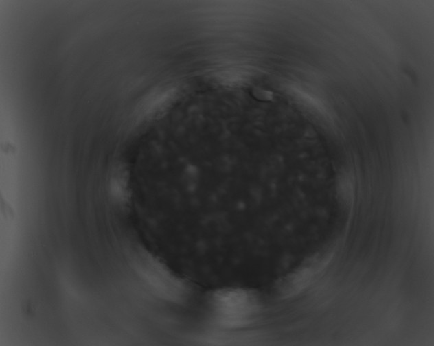 X0000090860181200708030956