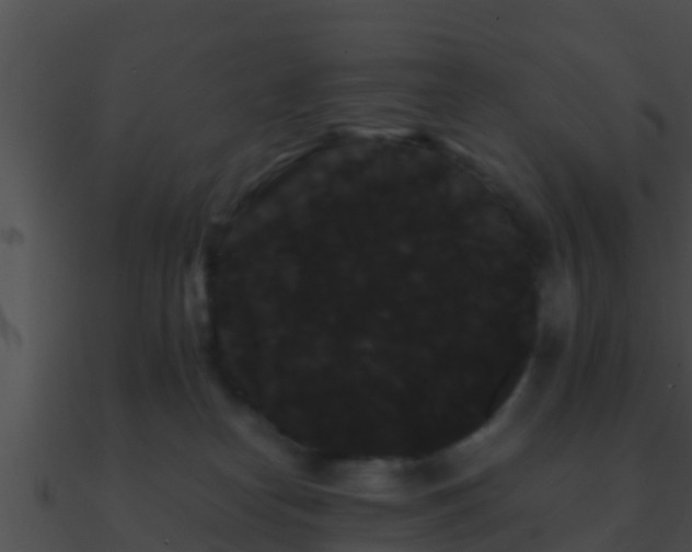 X0000090860182200708030956