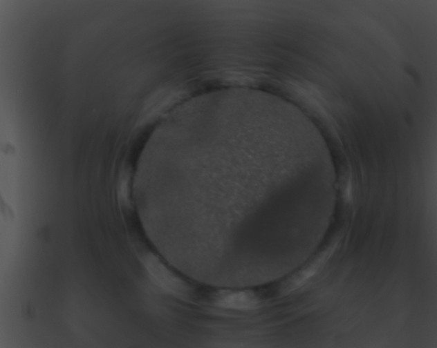 X0000090860185200708030956