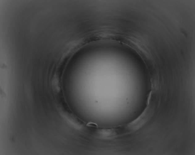 X0000090860187200708030956