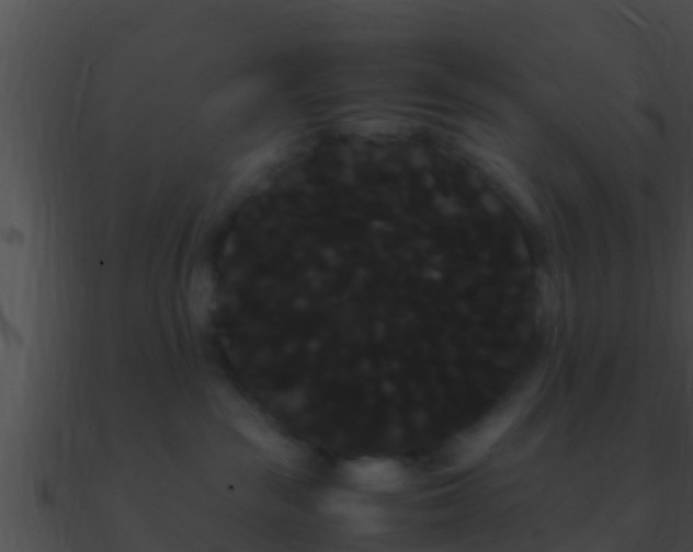 X0000090860189200708030956