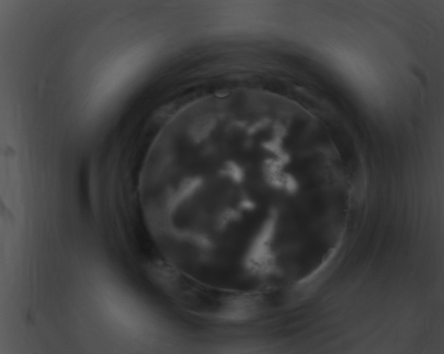 X0000090860191200708030956