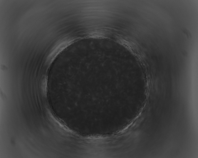 X0000090860194200708030955