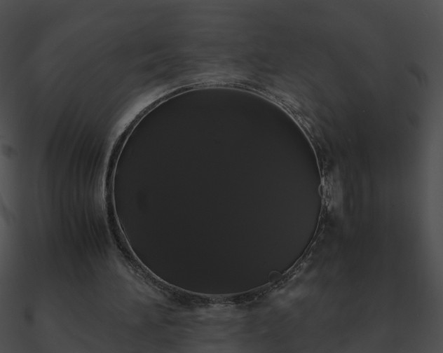 X0000090860196200708030955