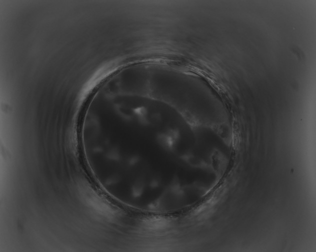 X0000090860198200708030955