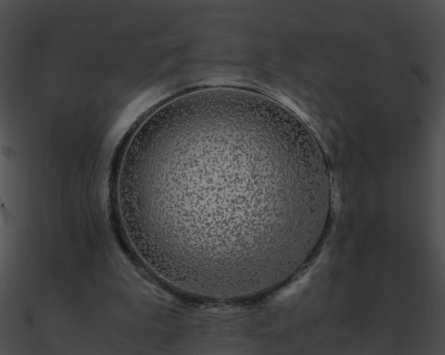 X0000090860199200708030955