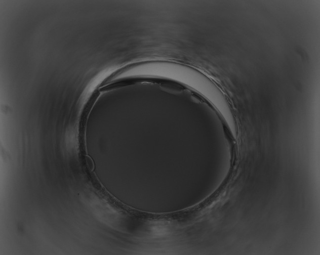 X0000090860200200708030955