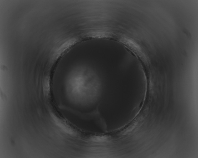 X0000090860202200708030955