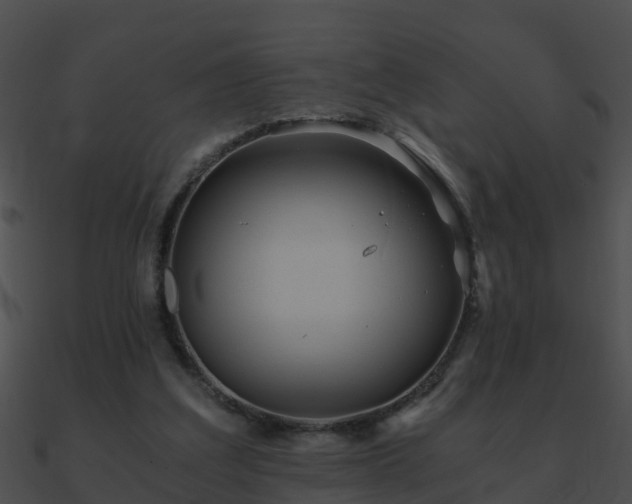 X0000090860203200708030955