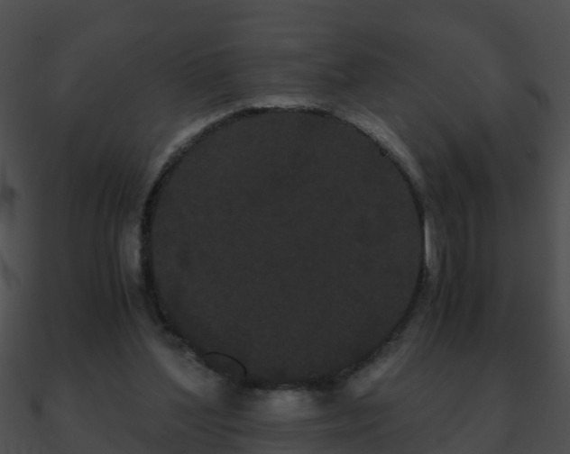 X0000090860204200708030955