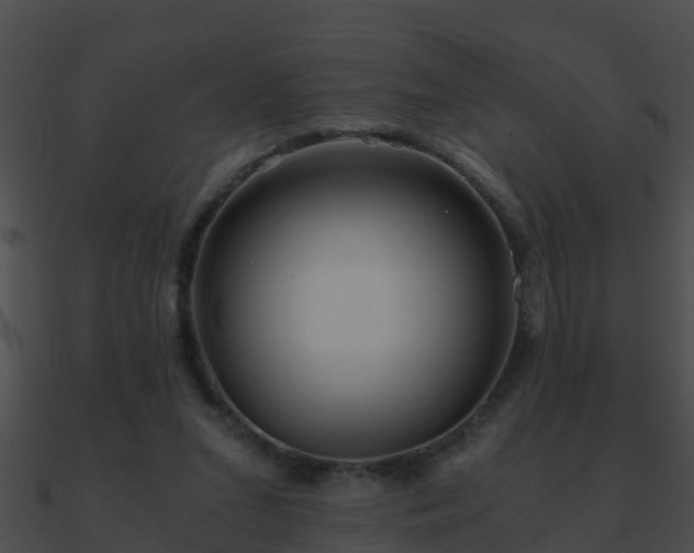 X0000090860207200708030955