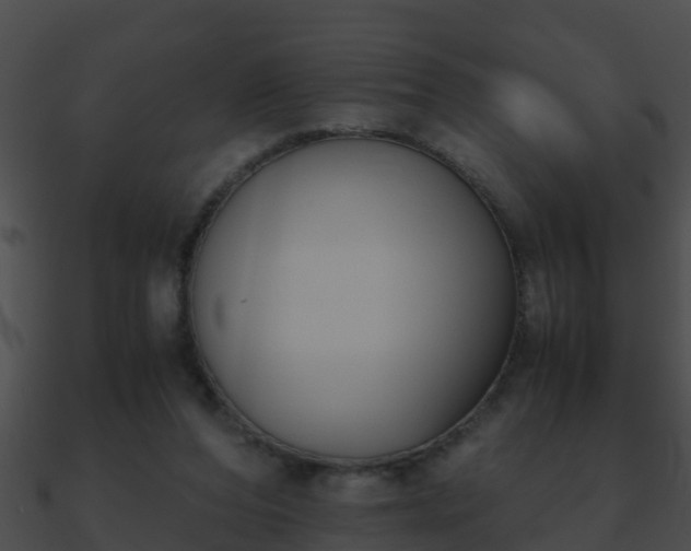X0000090860208200708030955