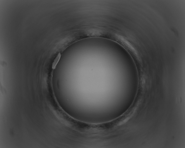 X0000090860209200708030955