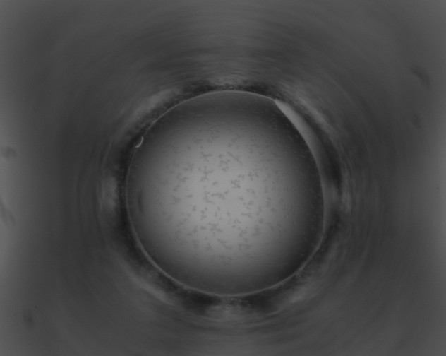 X0000090860211200708030955