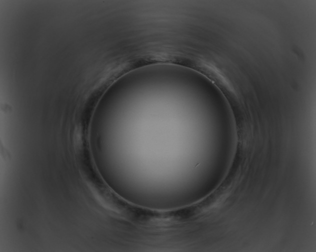 X0000090860213200708030955
