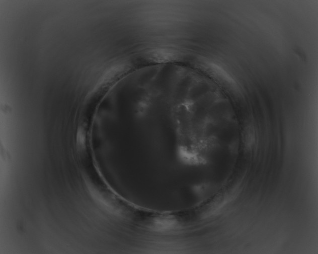 X0000090860214200708030955