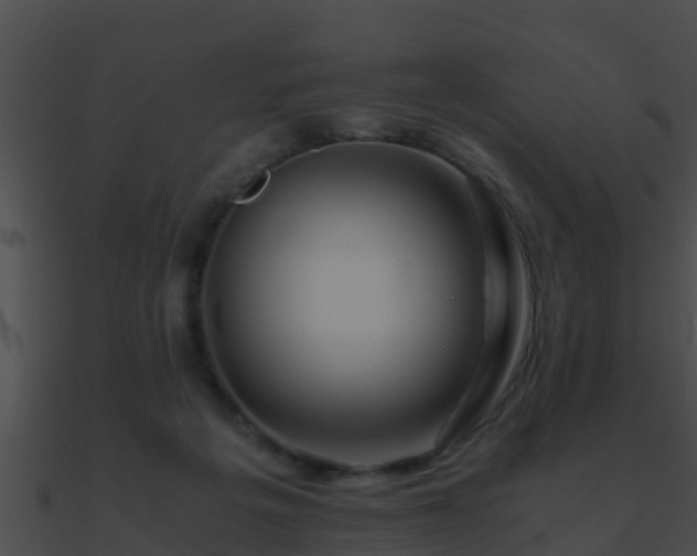 X0000090860217200708030955