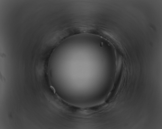 X0000090860221200708030955