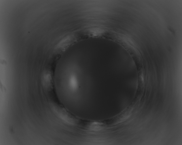X0000090860222200708030955