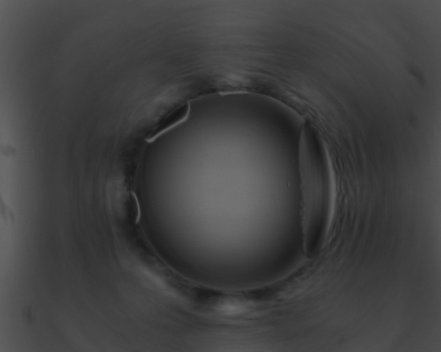 X0000090860223200708030955