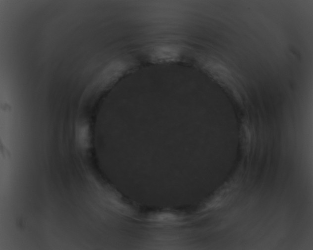 X0000090860224200708030955