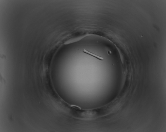 X0000090860225200708030954