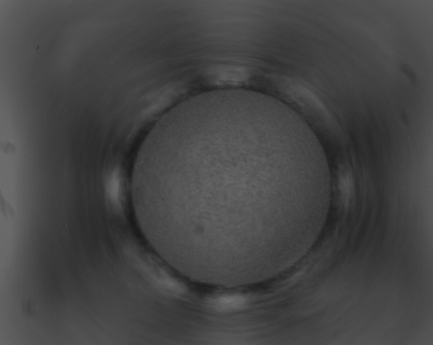 X0000090860228200708030954