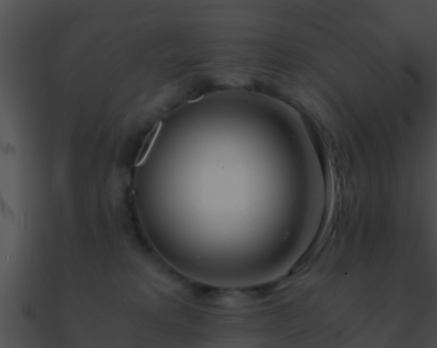 X0000090860229200708030954