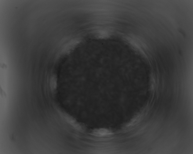 X0000090860230200708030954