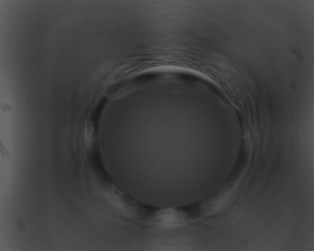 X0000090860231200708030954