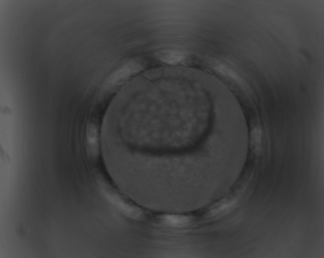 X0000090860234200708030954