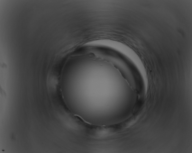 X0000090860235200708030954