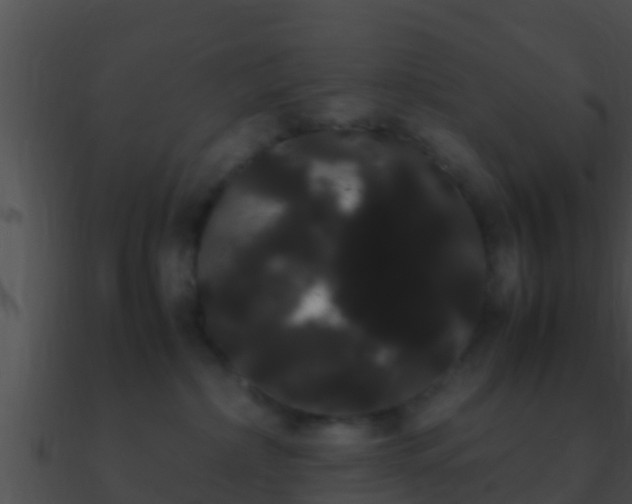 X0000090860236200708030954